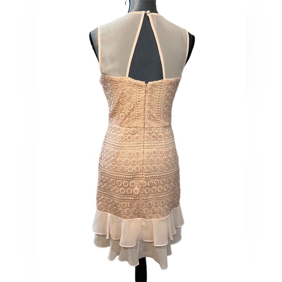 BETSEY JOHNSON Confection Pink Blush Lace Overlay Sheath Dress, Size 6 - Picture 5 of 12